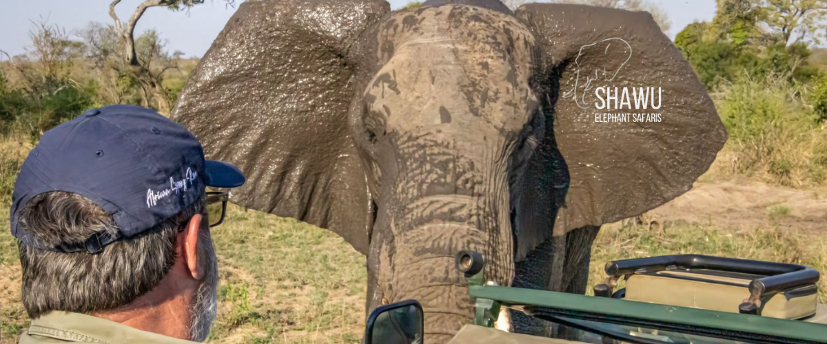 Shawu Elephant Safaris